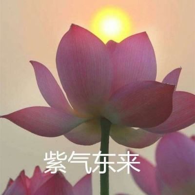我们的少年时代百度版下载